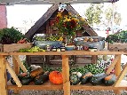 Market Stand  - Crystal England